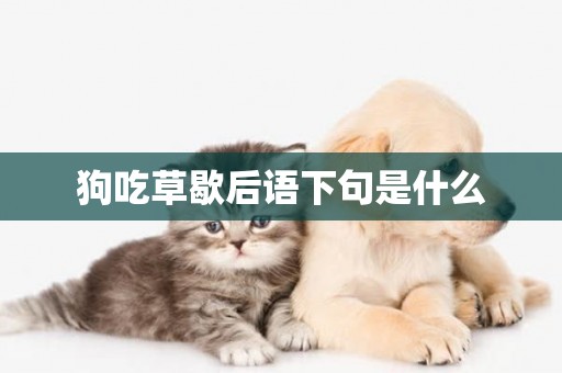 狗吃草歇后語下句是什么