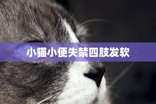 小貓小便失禁四肢發軟