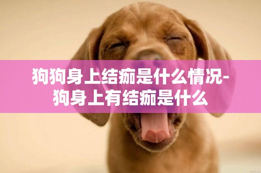 狗狗身上結痂是什么情況-狗身上有結痂是什么