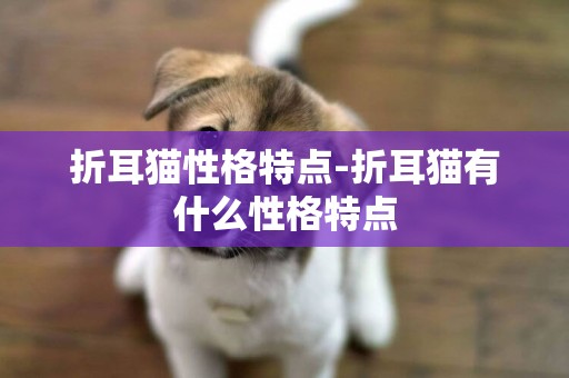 折耳貓性格特點-折耳貓有什么性格特點