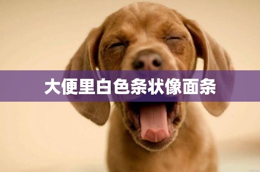 大便里白色條狀像面條