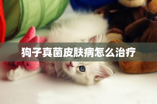 狗子真菌皮膚病怎么治療