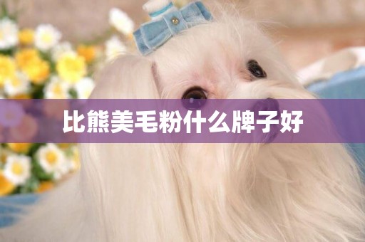 比熊美毛粉什么牌子好