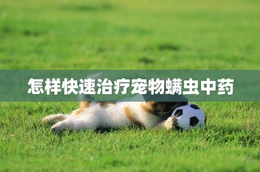 怎樣快速治療寵物螨蟲中藥