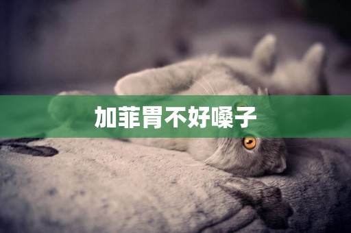 加菲胃不好嗓子