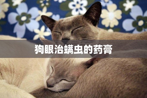 狗眼治螨蟲的藥膏