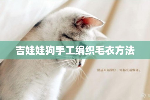 吉娃娃狗手工編織毛衣方法