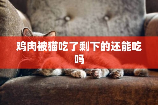 雞肉被貓吃了剩下的還能吃嗎