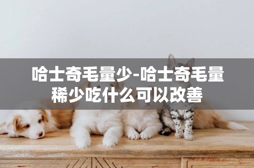 哈士奇毛量少-哈士奇毛量稀少吃什么可以改善