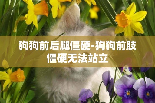狗狗前后腿僵硬-狗狗前肢僵硬無法站立