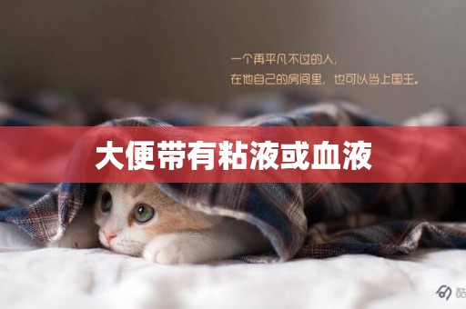 大便帶有粘液或血液