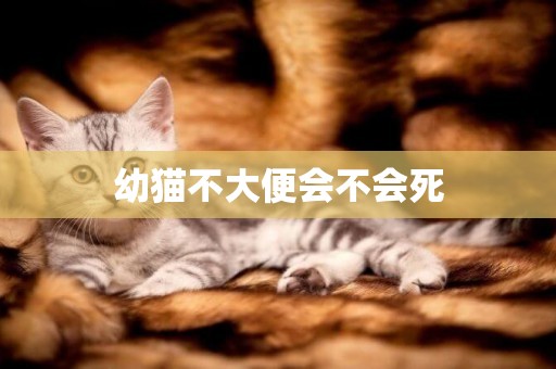 幼貓不大便會不會死
