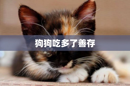 狗狗吃多了善存
