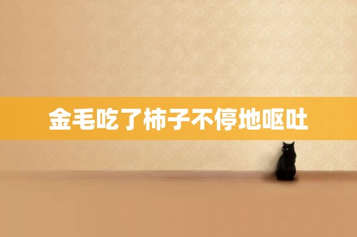 金毛吃了柿子不停地嘔吐