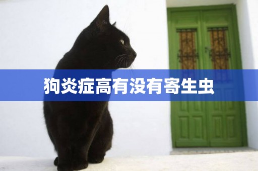 狗炎癥高有沒有寄生蟲