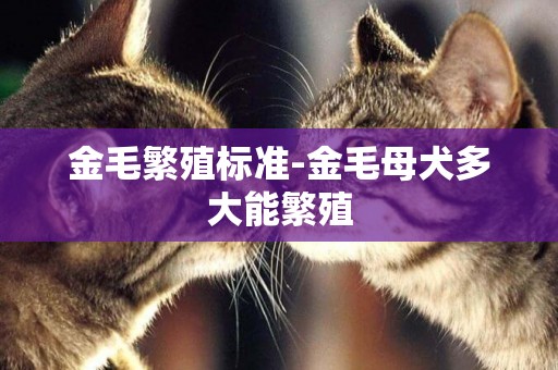 金毛繁殖標準-金毛母犬多大能繁殖