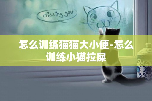 怎么訓練貓貓大小便-怎么訓練小貓拉屎