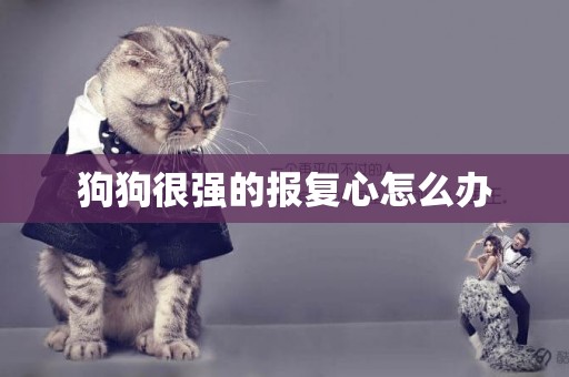 狗狗很強的報復心怎么辦