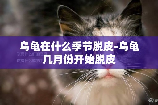烏龜在什么季節脫皮-烏龜幾月份開始脫皮