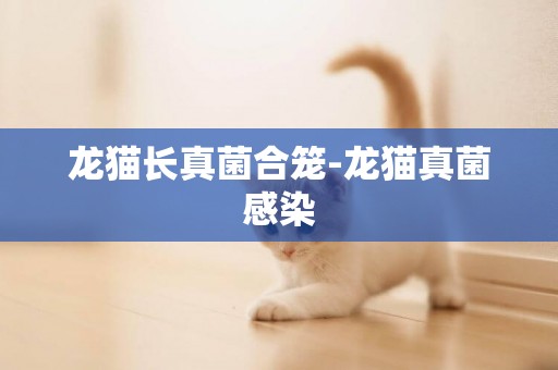 龍貓長真菌合籠-龍貓真菌感染