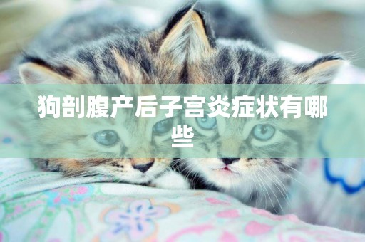 狗剖腹產后子宮炎癥狀有哪些