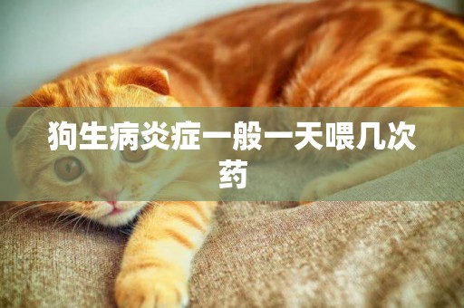 狗生病炎癥一般一天喂幾次藥