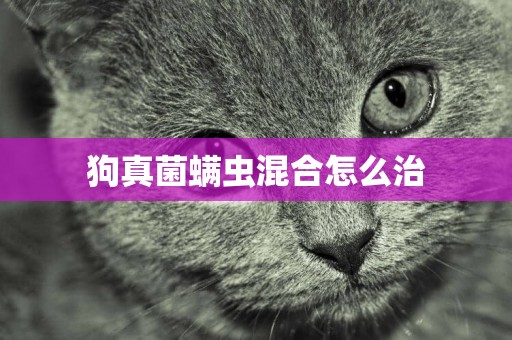 狗真菌螨蟲混合怎么治