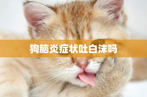 狗腦炎癥狀吐白沫嗎