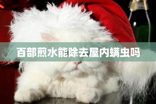 百部煎水能除去屋內螨蟲嗎
