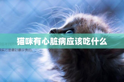 貓咪有心臟病應該吃什么