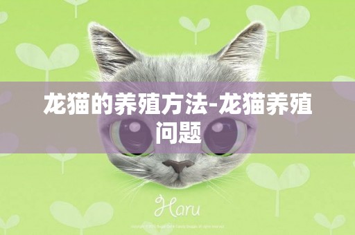 龍貓的養殖方法-龍貓養殖問題