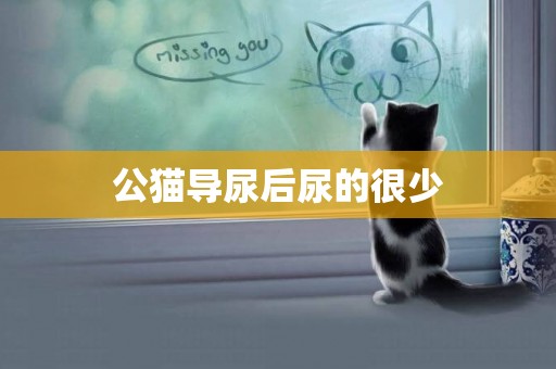 公貓導尿后尿的很少