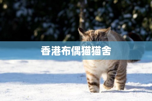 香港布偶貓貓舍