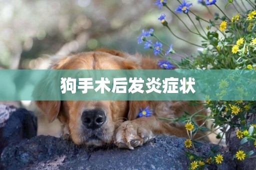 狗手術后發炎癥狀