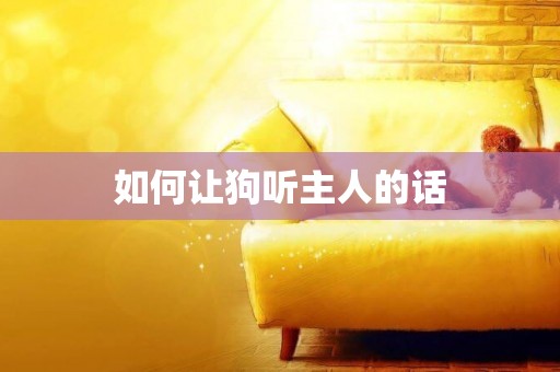 如何讓狗聽主人的話