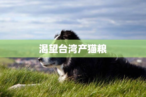 渴望臺灣產貓糧