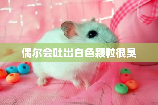 偶爾會吐出白色顆粒很臭