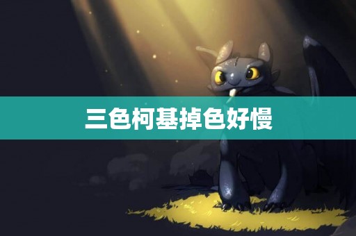 三色柯基掉色好慢