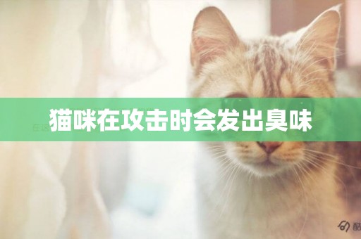 貓咪在攻擊時會發出臭味