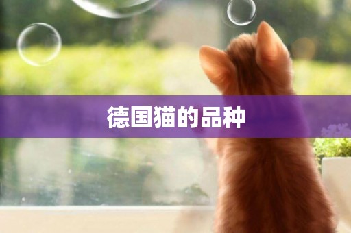 德國貓的品種