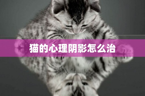 貓的心理陰影怎么治