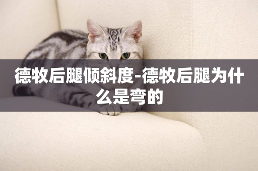 德牧后腿傾斜度-德牧后腿為什么是彎的