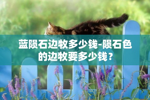 藍隕石邊牧多少錢-隕石色的邊牧要多少錢？