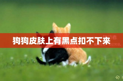 狗狗皮膚上有黑點扣不下來