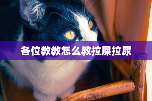 各位教教怎么教拉屎拉尿
