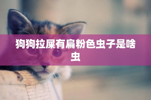 狗狗拉屎有扁粉色蟲子是啥蟲