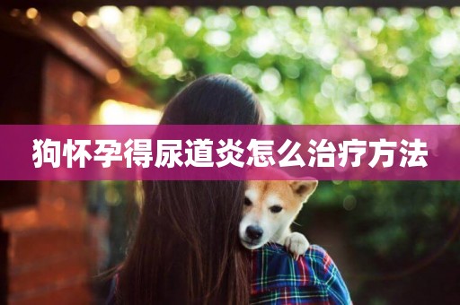 狗懷孕得尿道炎怎么治療方法