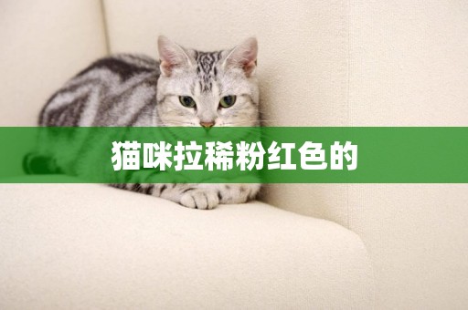 貓咪拉稀粉紅色的