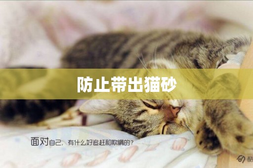 防止帶出貓砂
