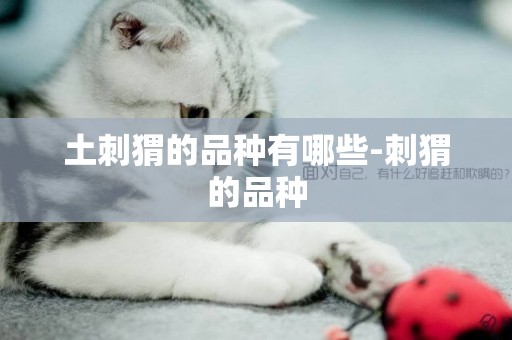 土刺猬的品種有哪些-刺猬的品種